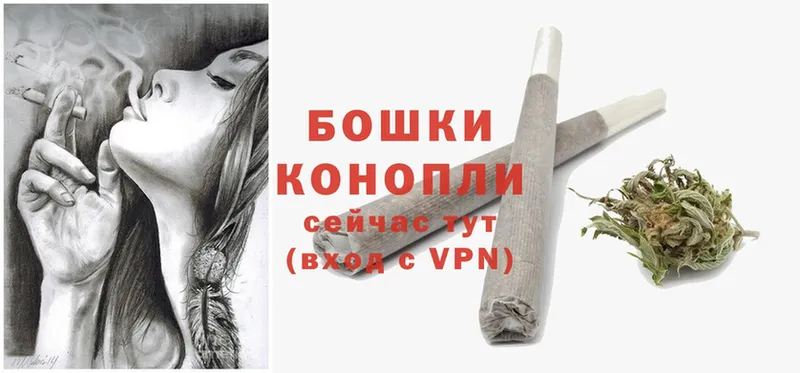 где можно купить наркотик  Аша  Конопля SATIVA & INDICA 